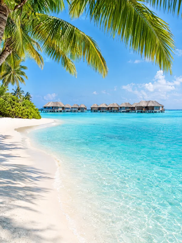 Maldives | wizardtrip